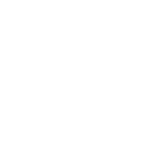 Independent, impartial IT consultancy